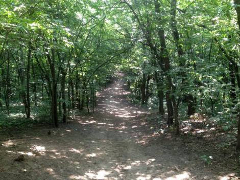 11716042_10155686387160004_1000377512_n